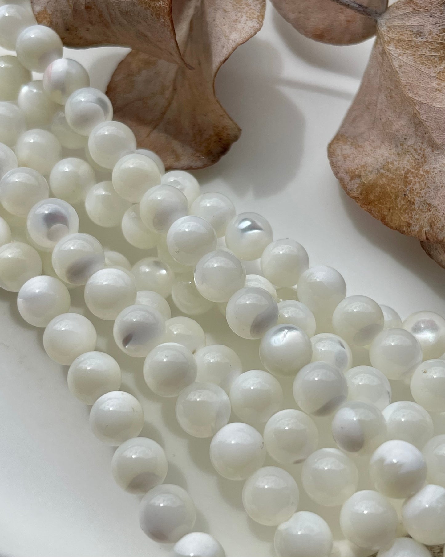 Mother of Pearl 6mm Natural Beads